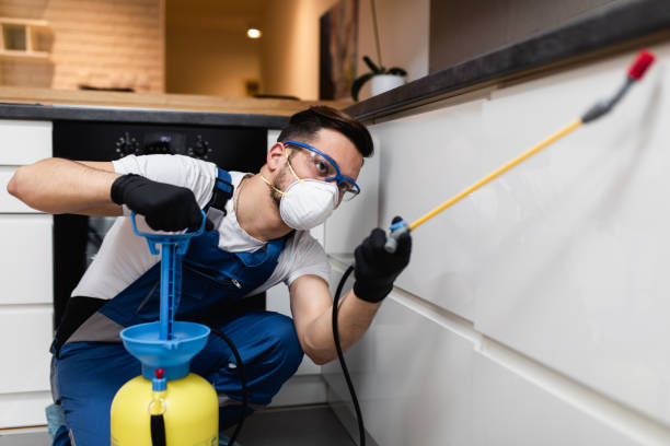 Best Flea Control Services  in Paloma Creek, TX