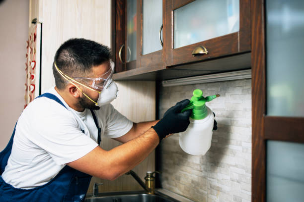 Trusted Paloma Creek, TX Pest Control Experts