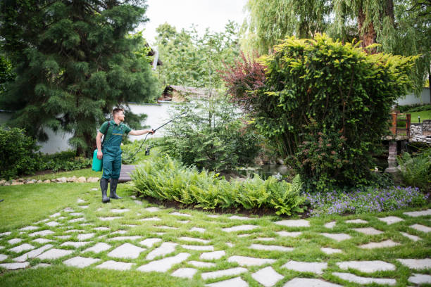 Best Mosquito Control Services  in Paloma Creek, TX