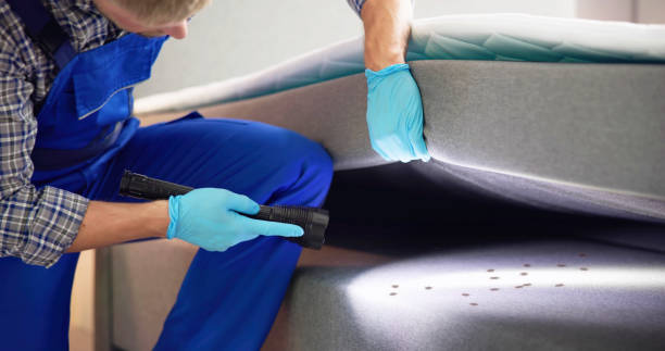 Best Pest Prevention Services  in Paloma Creek, TX